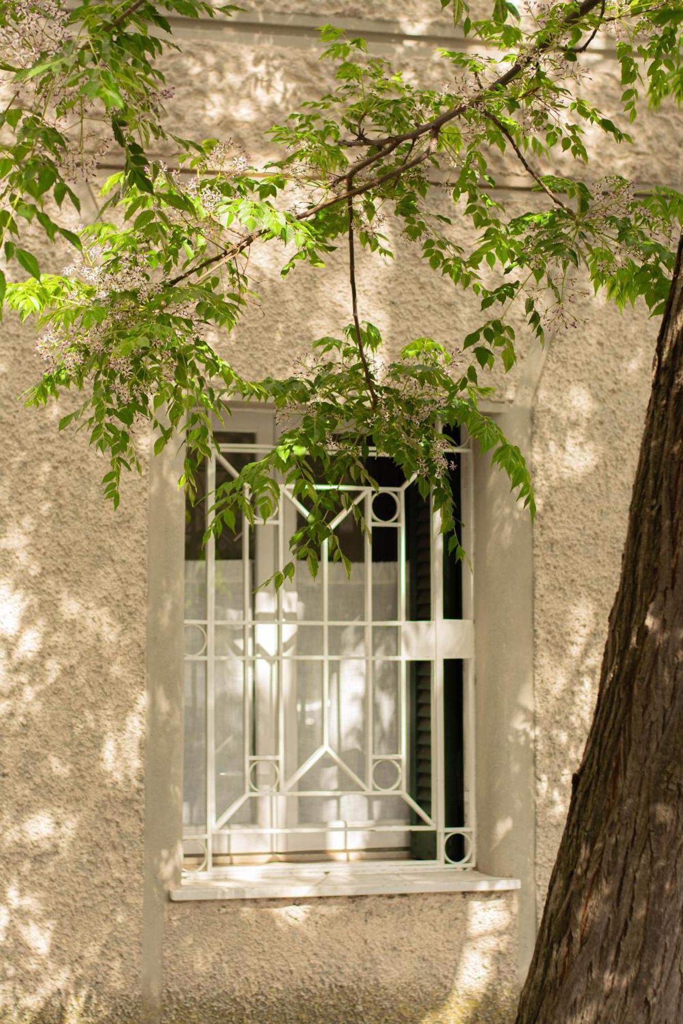 Domus Gianicolo 2B Roma Exterior foto